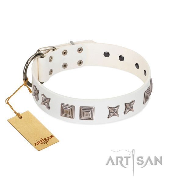 Natural leather dog collar with stylish adornments