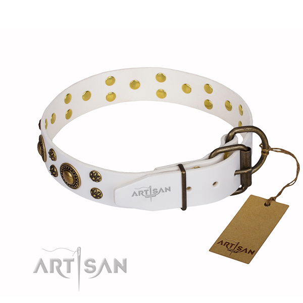 White leather dog collar with strong fittings