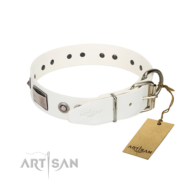 Comfortable leather dog collar with polished edges