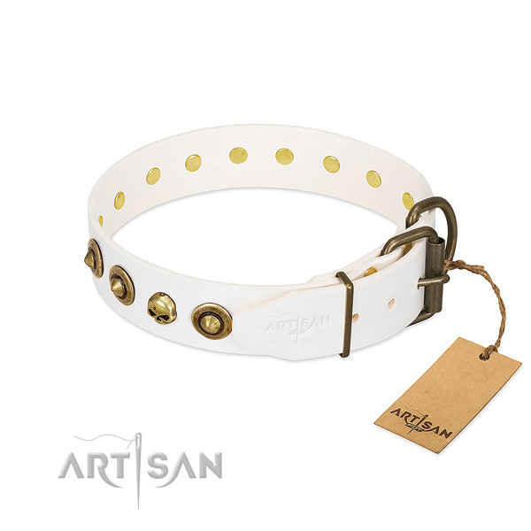 Handmade extraordinary Artisan dog collar for walking