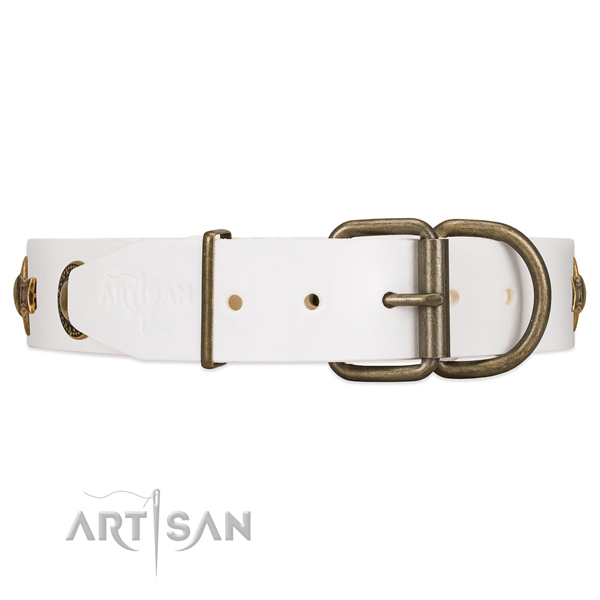 White leather dog collar with gold-like circles and stars