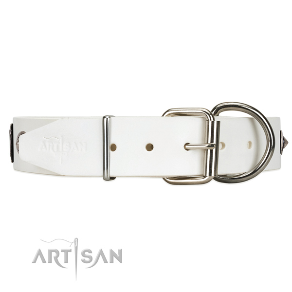 Walking dog collar with reliable fittings