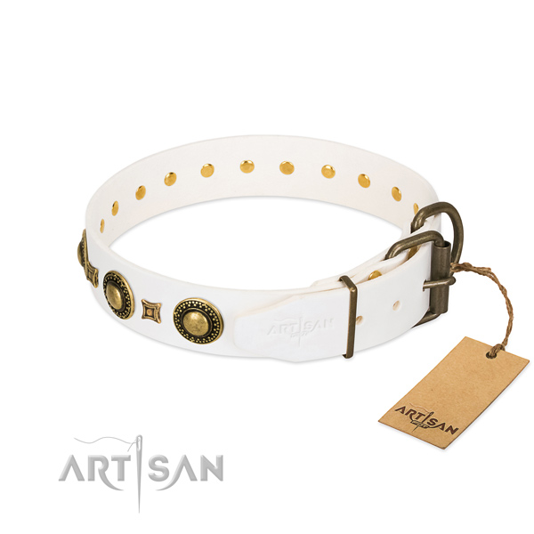 Comfortable to wear leather dog collar for everyday wear
