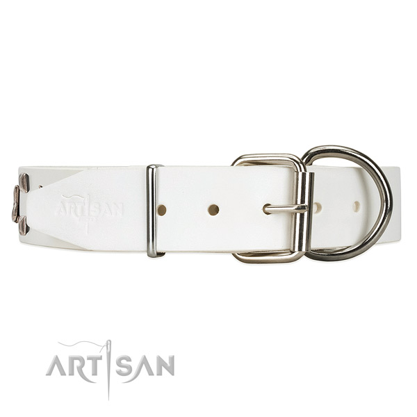 Elegant white dog collar with strong buckle for quick fastening