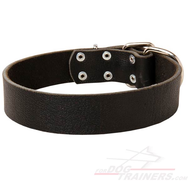 Tear-resistant Leather Dog Collar