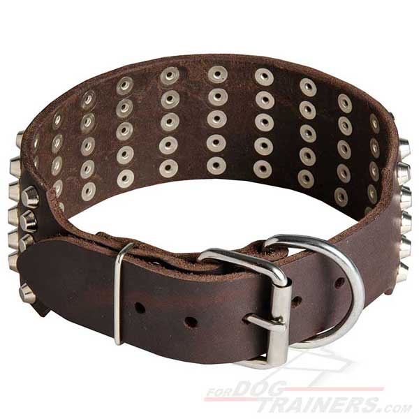 Leather dog collar with nickel plated fittings