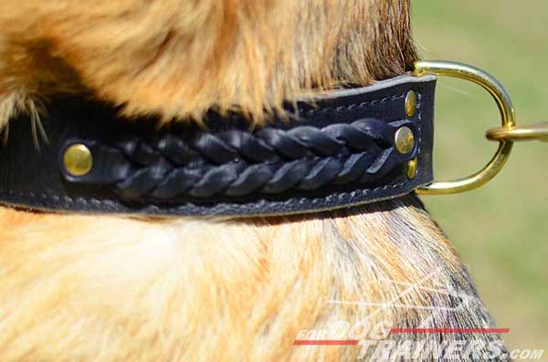 Ideally Positioned Brass Strong D-Ring for Secure Attachment of Canine Leash
