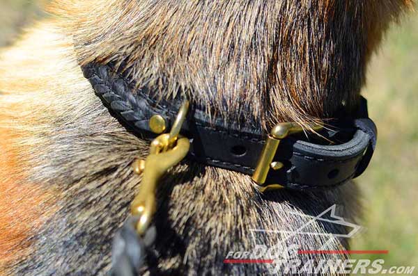 Functional Dog Collar Leather Features Goldish Hardware