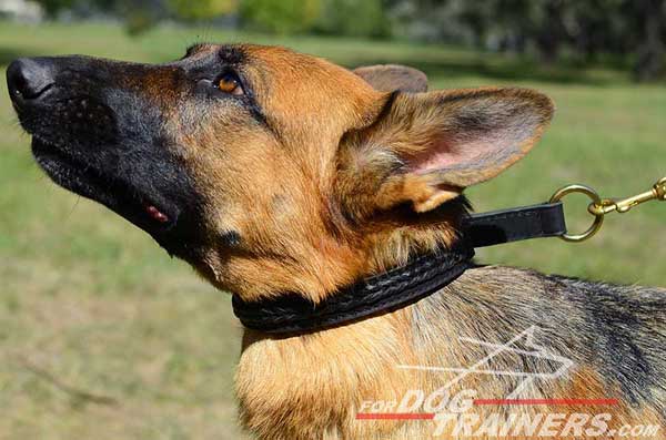 Dog Choke Collar Leather for German Shepherd To Listen To Your Commands 