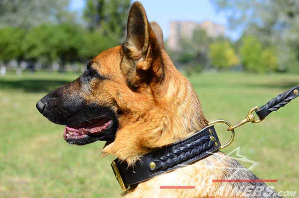 Braided German Shepherd Leather Collar From Direct Maker