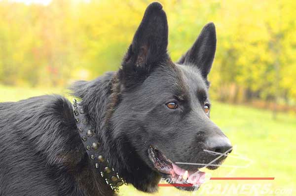 Decorated Dog Leather Collar With Spikes and Studs for GSD Walking 