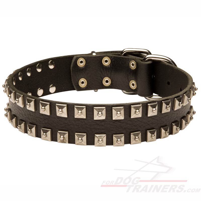 Designer Dog - Luxury Dog Collars