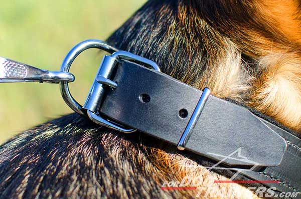 Durable Nickel Plated Ring for Leash Clipping