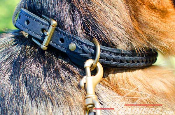 Smooth Brass Details on Leather Braided Dog Collar