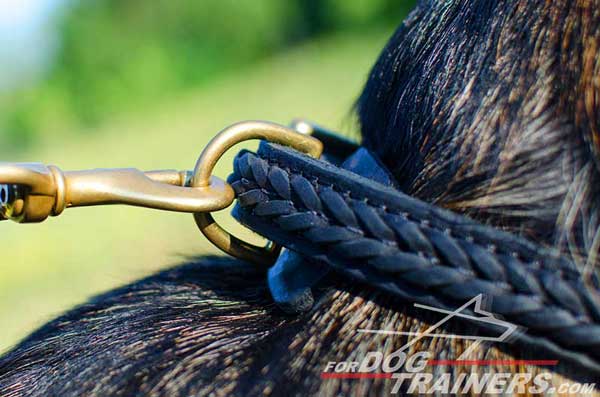 Durable Cast Brass D-Ring for Momentary Leash Fastening
