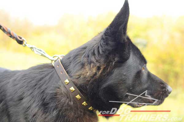 Brass Studded Dog Collar Leather Attractive for German Shepherd Walking 