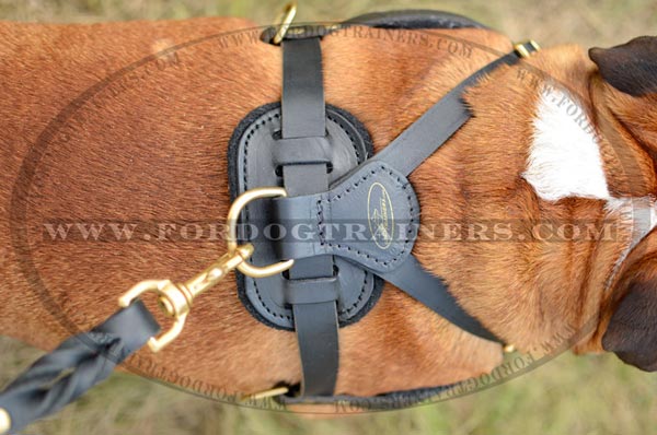 Brass Rustproof Hardware of Leather English Bulldog Harness