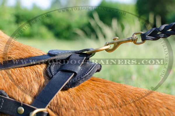 Strong Back Plate of Leather Belgian Malinois Harness