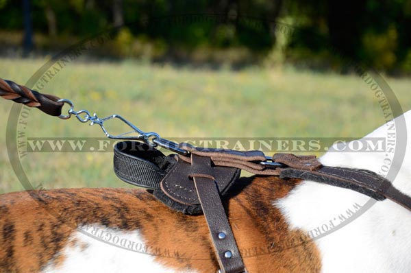 Dog Harness with padded back plate and handle