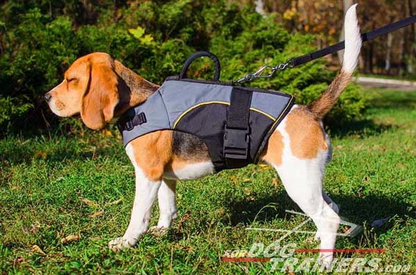 Comfortable Beagle Nylon Vest for Winter and Rehabilitation