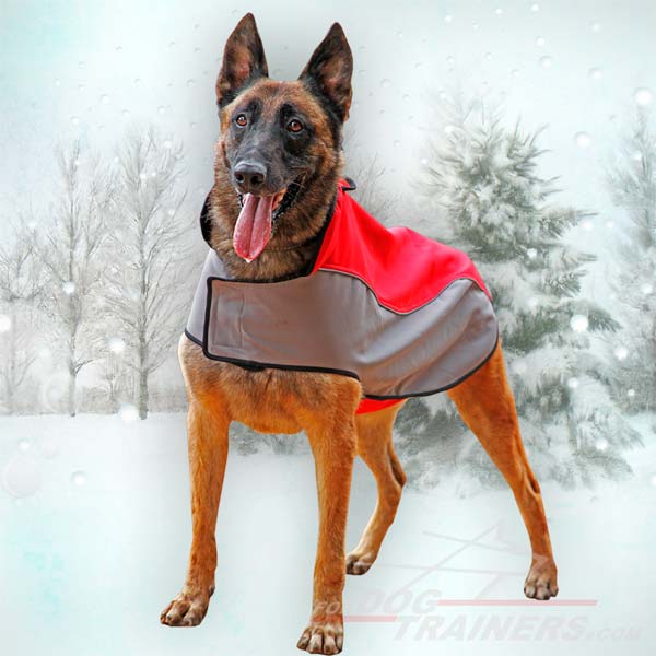Weatherproof Belgian Malinois Coat for Winter Walking