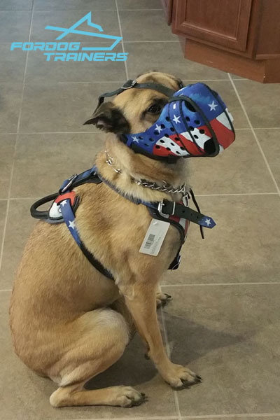 Belgian Malinois handcrafted leather harness with american flag pattern