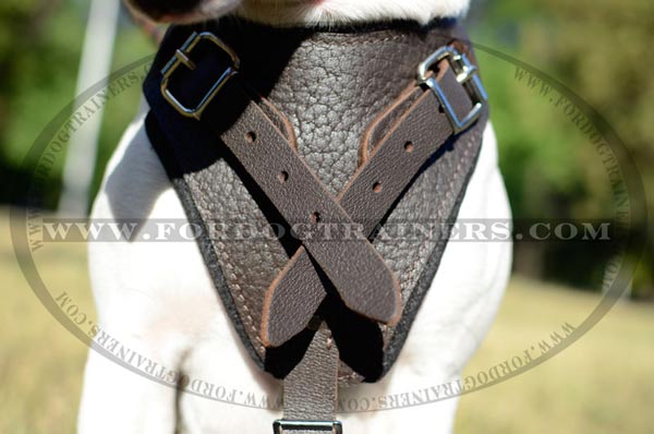 Brown Leather Chestplate of Training Dog Harness