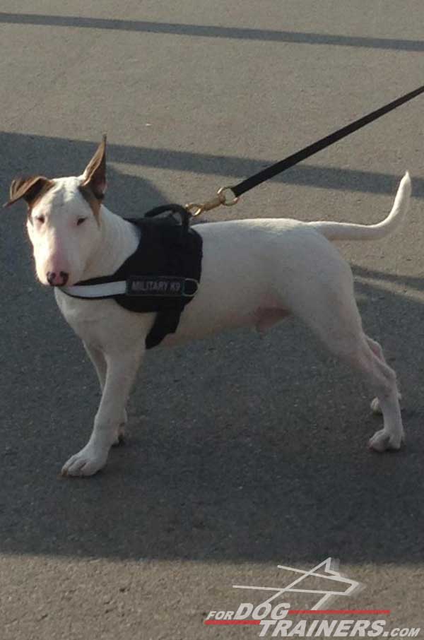 Walking Nylon Bull Terrier Harness Reflective Strap