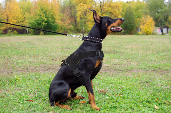 Agitation Tracking Nylon Harness