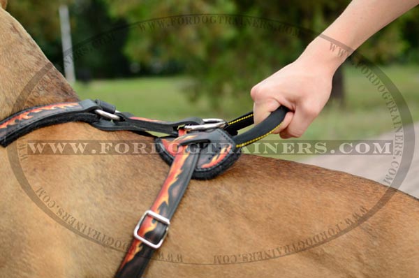 Comfortable Handle on Pitbull Harness