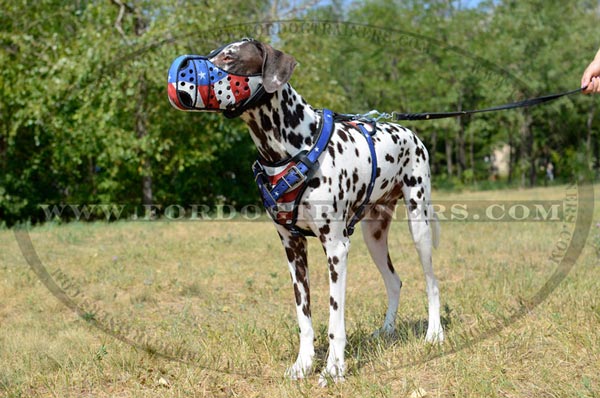Designer Leather Dog Harness for Large Breed Dogs