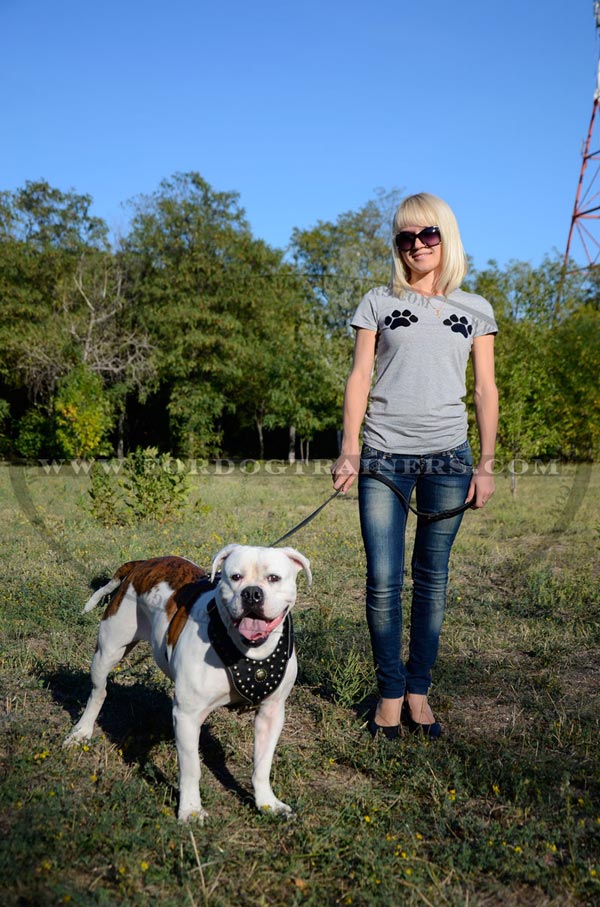 American Bulldog Nappa Padded Harness