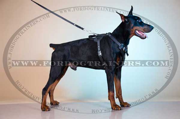 Adjustable Leather Doberman Harness