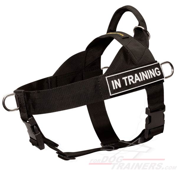 Brandnew Dog Harness Has Been Designed For Military, Police and