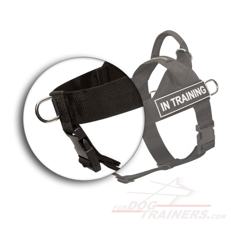 Brandnew Dog Harness Has Been Designed For Military, Police and