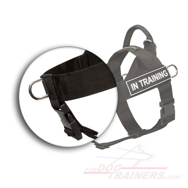 Brandnew Dog Harness Has Been Designed For Military, Police and