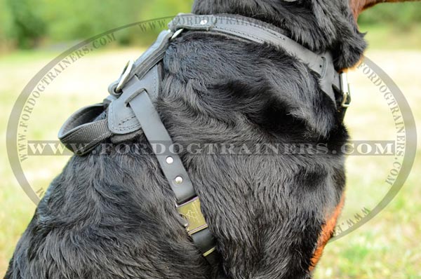 Dog harness easy to put on - off