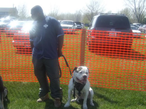 Doom wears Harness for Agitation Work