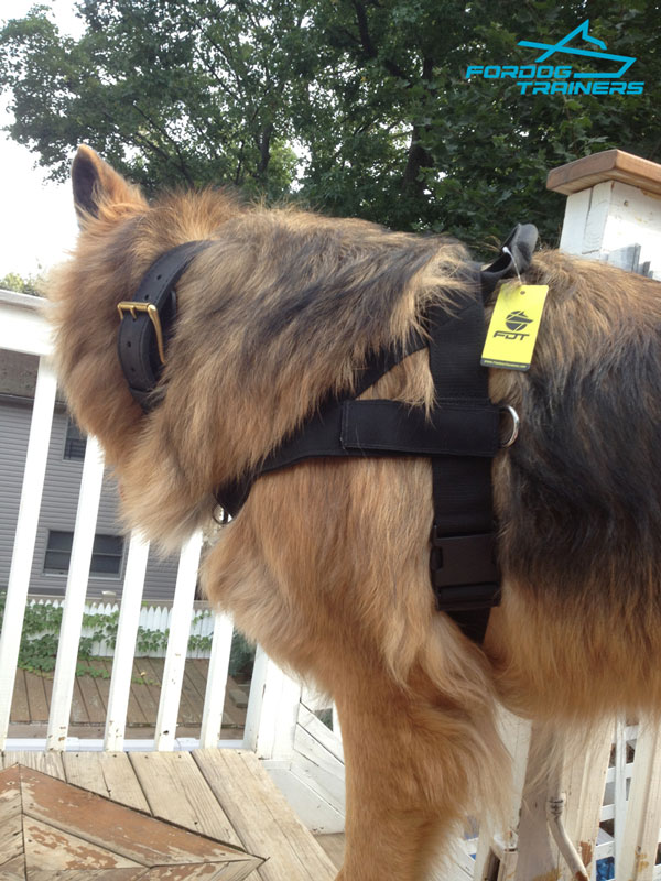 Multitasking Nylon Dog Harness with Easy-grab Handle