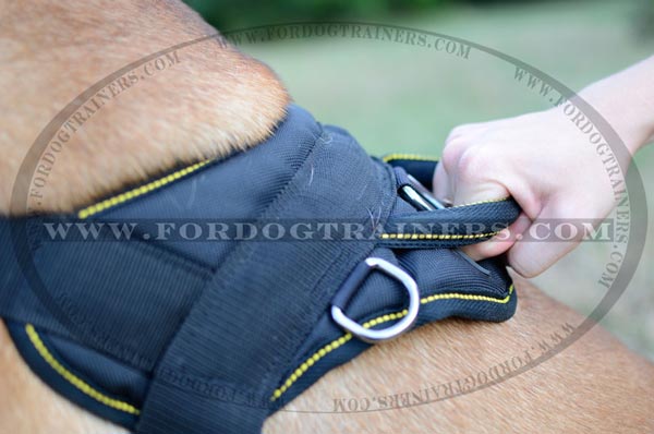 Durable Handle of Nylon Dog Harness for Bullmastiff