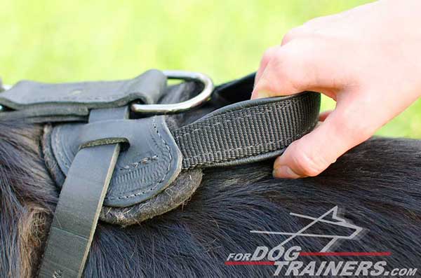 Ergonomic Leather Handle on German Shepherd Harness