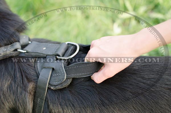 Handle on German Shepherd Harness Leather for Training