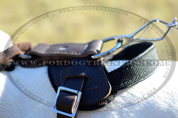 Durable Nickel D-ring on Leather Dog Harness