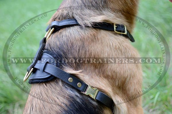 Durable Back Plate of German Shepherd Harness Leather Dog Gear