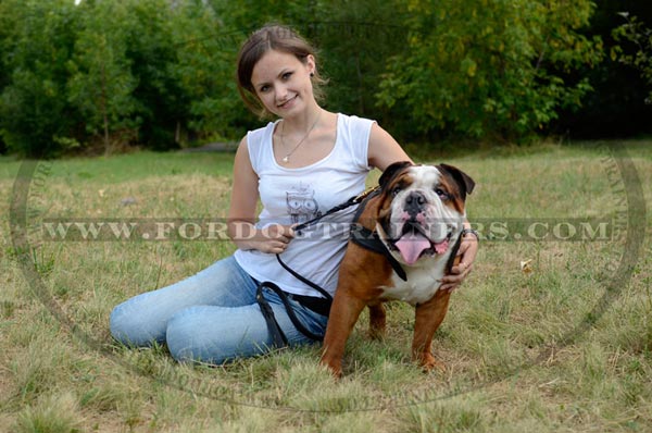 Tracking Leather English Bulldog Harness