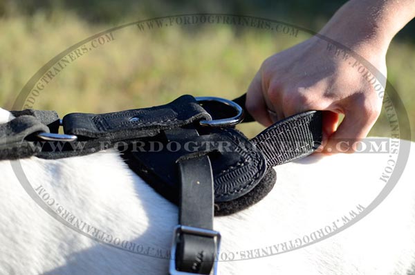 Ergonimic Handle of Training Leather Dog Harness