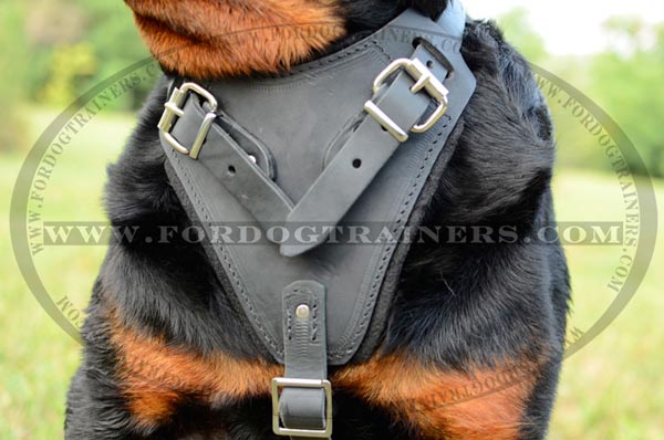 Safe chest plate - padded on the harness
