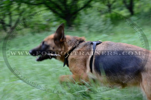 Reliable Tracking German Shepherd Harness Leather