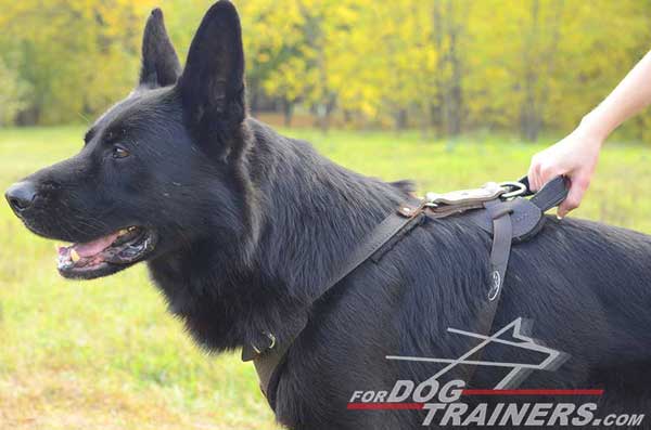 Training German Shepherd Harness Leather Dog Item with Handle