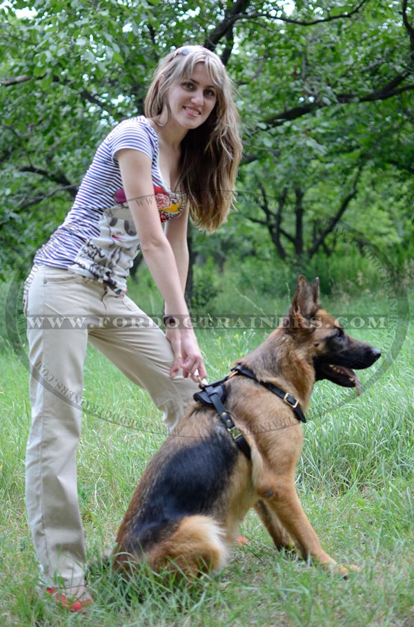 Walking German Shepherd Harness Leather